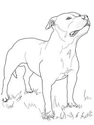 Click The Staffordshire Bull Terrier Colouring Page To View
