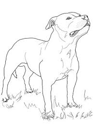 click the staffordshire bull terrier colouring page to view