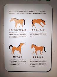 特に記載なき場合、掲載されている小説の著作権は作者にあります(一部作品除く)。 作者以外の方による小説の引用を超える無断転載は禁止しており、行った場合、著作権法の違反となります。 この小説はリンクフリーです。 ご自由にリンク(紹介)してください。 この小説はスマートフ. Fehdge53sgo5dm