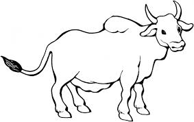 Dibujos De Toros Para Colorear