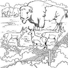 Des milliers de coloriages a imprimer gratuits et dessins à colorier en ligne. 44 Dessins De Coloriage Zoo A Imprimer