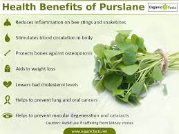 Another ingredient is coq10 which aids in keeping your skin smooth, toned, and tight. Pin On Alternative Health