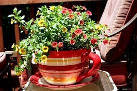Tea Cup Planter Planters Teacup Gardens
