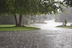 Image result for rain