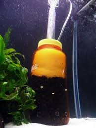 Pin On Fish Tank