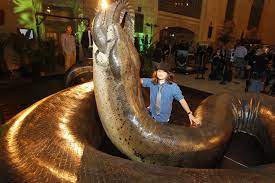 Posts About Snakes On Feeding Giant Snake World S Largest Snake Prehistoric Creatures