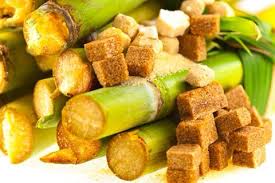 Canne A Sucre Et Sucre De Canne Canne A Sucre Legume Exotique Fruits Et Legumes