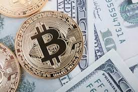 This is what bitcoin people are thinking right now as they are holding the bag: What S New With Bitcoin Cash The Merkle News