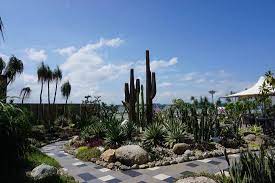 Chill out with the world's most enduring plants. Umsonst Und Draussen Kakteen Auf Dem Flughafen Cactus Garden Singapur Reisebewertungen Tripadvisor