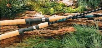 Check spelling or type a new query. Berkley Lightning Rod Review Is It The Rod For You