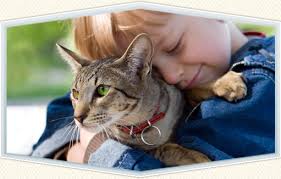 San diego pet hospital 7368 broadway, ste a lemon grove, ca 91945. Carlsbad Veterinarians Near Oceanside Aviara Animal Health Center