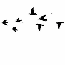 Black And White Dark Theme Dividers Instagram Taylor Swift Theme Divider Prt 1 Theme Dividers Instagram Instagram Divider Theme Divider