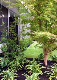 Brighton Garden Refurbishment Nadia Gill Landscape Architect Max Architects Landscape Design Landscape Architect Garden Pool
