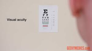 Examination Of The Eyes And Vision Osce Guide Geeky Medics