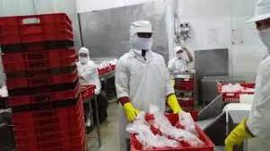 4, jalan im 3/5, mahkota industrial park, indera mahkota, pahang, bandar indera mahkota, 25200 kuantan, pahang, malaisia. Ayamas Food Cpr Cp Youtube