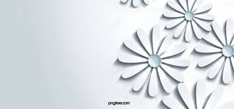 3d Paper White Flower Background White Flower Background Flower Backgrounds White Flowers
