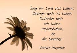 Lustige Geburtstagsspruche Und Zitate Freche Und Poetische Spruche Niveauvolle Texte