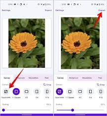 How To Add White Border To Photos On Mobile And Desktop Techwiser