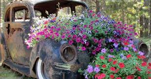 Old Car New Flowers Garden Yard Ideas Rusty Garden Front Garden Design
