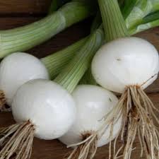 Onion, Sweet White