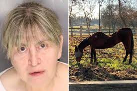 Woman Charged with Animal Cruelty After 27 Horses Are Found Dead in  California