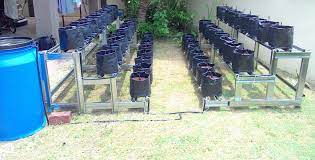 Memiliki rumah yang indah, nyaman dan bersih adalah dambaan setiap orang. Tanaman Fertigasi Bertingkat Jom Tanam Sendiri Di Rumah Facebook