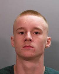 Cellphone video showed cats shot point-blank; Jacksonville 18-year-old gets  120 days