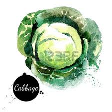 Chou Main Peinture A L Aquarelle Tire Sur Fond Blanc Vector Illustration Dessin Legumes Idees D Aquarelle Aquarelle
