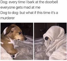 32 animal memes that are going to make your week. 100 Pet Memes That Will Make You Lol Over And Over Again