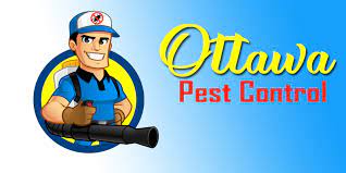 Pest control ottawa is one of the most leading and experienced pest control companies in ontario. The 6 Best Options For Pest Control In Ottawa 2021