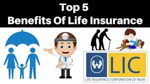 Employment insurance benefits and leave information for workers, families, fishers and sickness, as well as how to apply and submit a report. Top 5 Benefits Of Lic Life Insurance In Hindi Benefits Of Lic Policy Youtube