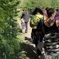 South Essex Foraging Walk event image