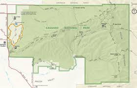 Check spelling or type a new query. Saguaro National Park Trail My Tucson Wedding