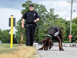 Congratulations To Officer Davis And K9 Archer Of The Eden Nc Police Department Recently They Were Called To A Residence T Police K9 Police Dogs K9 Training