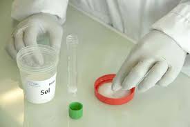 Engolir sêmen diminui chances de aborto espontâneo, diz estudo - Saúde -  Estado de Minas