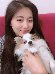 Enter Talk Have You Guys Seen Twice S Pets Pann좋아 Gambar Artis Gadis Cantik