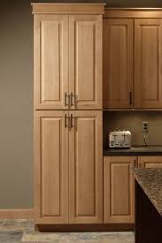 Get 5% in rewards with club o! Love The Color Of These Cabinets Pantry Cabinet Tall Kitchen Pantry With Pull Out Shelves Built In Pantry Tall Pantry Cabinet Tall Kitchen Pantry Cabinet