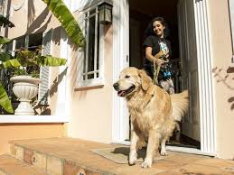 Maybe you would like to learn more about one of these? San Antonio Apartments For Rent