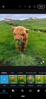With adobe photoshop express, you can edit your photos using this light and free version of the popular editor. Adobe Photoshop Express 7 6 878 Apk For Android Download Androidapksfree