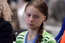 Greta thunberg has called for banks, firms and governments to stop investing and subsidizing fossil fuels and to invest in existing sustainable technologies, research, and restoring nature. Greta Thunberg Grosse Trauer Emotionales Insta Posting Beruhrt Brigitte De
