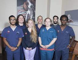 Visit mission pet hospital in san francisco, ca and save 25% on your vet bill with a pet plan by pet assure. Pet Guide San Antonio Magazine