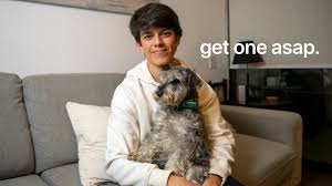 Get a Dog. It Will Change Your Life.