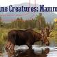 Maine Creatures: Mammals event in Portland, ME