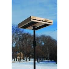 Bird Feeder Pole Home Depot Woodlink 3 In 1 Platform Bird Feeder Plat2 The Home Depot Platform Bird Feeder Humming Bird Feeders Bird Feeder Station