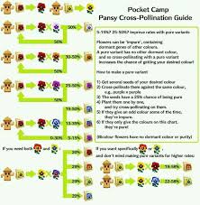 Pin Oleh Ann Rachel Di Pocket Camp