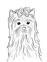 Some of the coloring page names are teacup yorkie best 25 yorkie ideas on yorkie puppies dog patterns hund. Yorkie Coloring Pages Best Coloring Pages For Kids