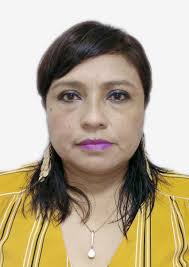 Antecedentes de Otorongos Elecciones 2022