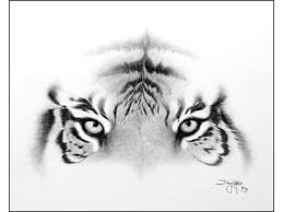 Te voi indruma pas cu pas, in realizarea unor desene frumoase cu care iti vei impresiona colegii si prietenii, dar vei si deveni un artist priceput. Desene In Creion 3 Posts Facebook