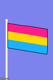 Pride month is soon so i wanted to make something to get ready for it ^^ also it would be cool to. Pansexual Pride Flag Album On Imgur