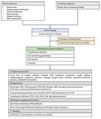 What is inflammatory breast cancer? Jcm Free Full Text Mastitis In Autoimmune Diseases Review Of The Literature Diagnostic Pathway And Pathophysiological Key Players Html